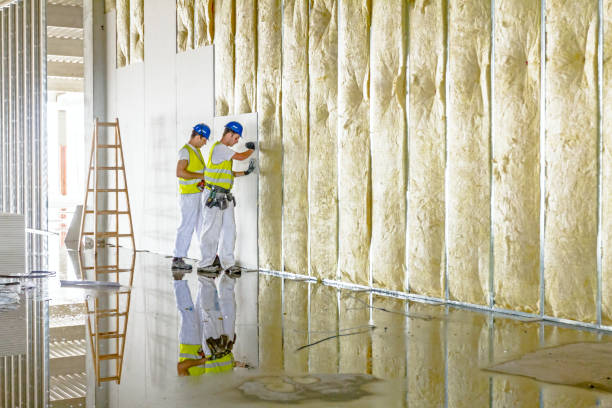 Best Commercial Insulation in Dresden, OH